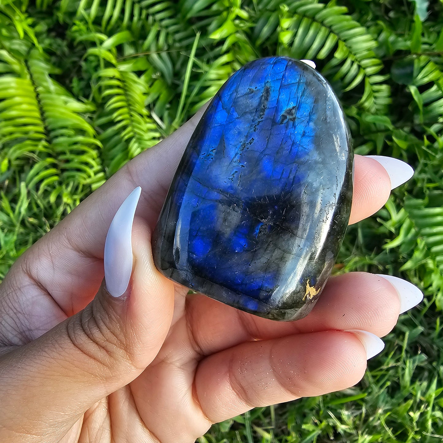 Labradorite Freeform-Deep Blue