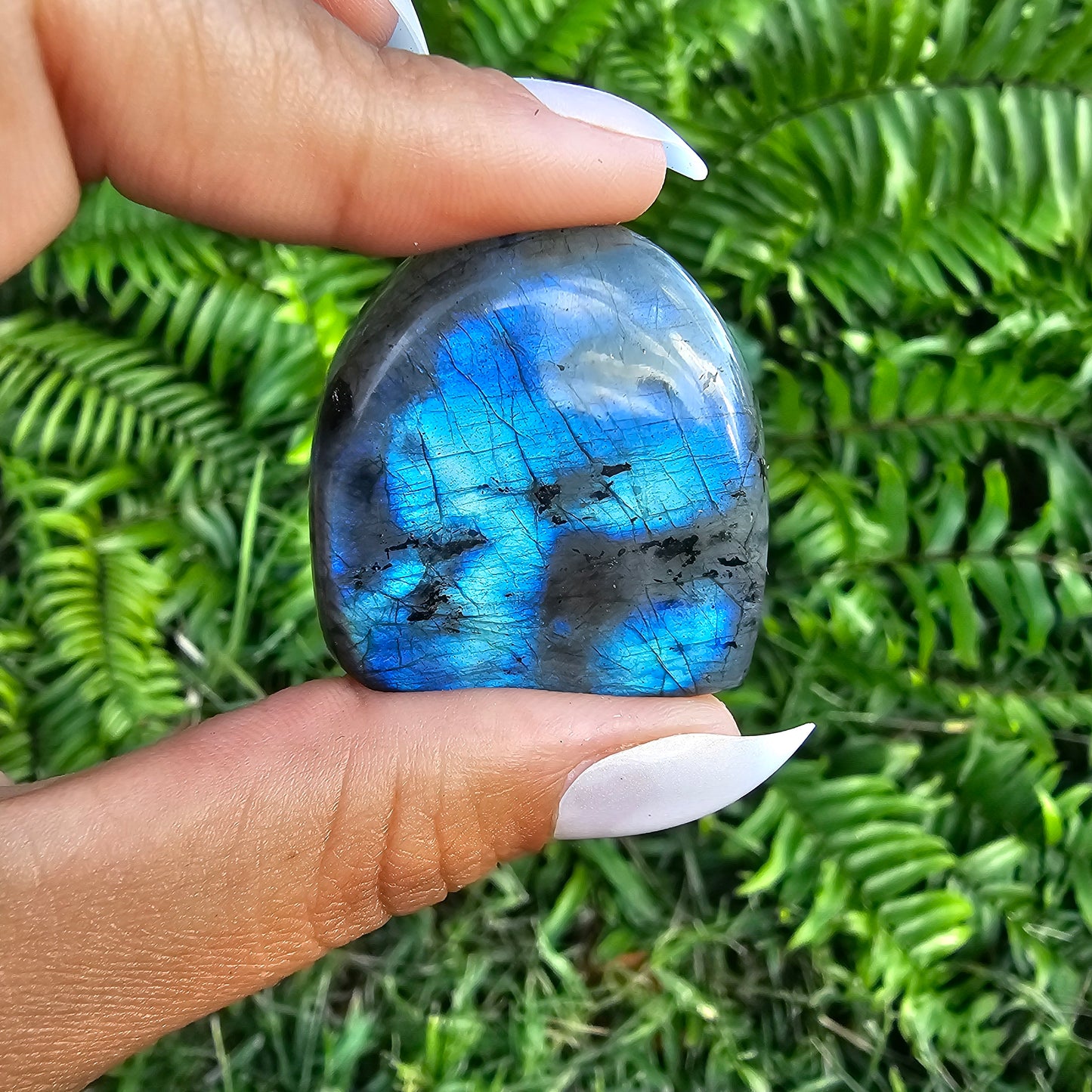 Labradorite Freeform - Blue