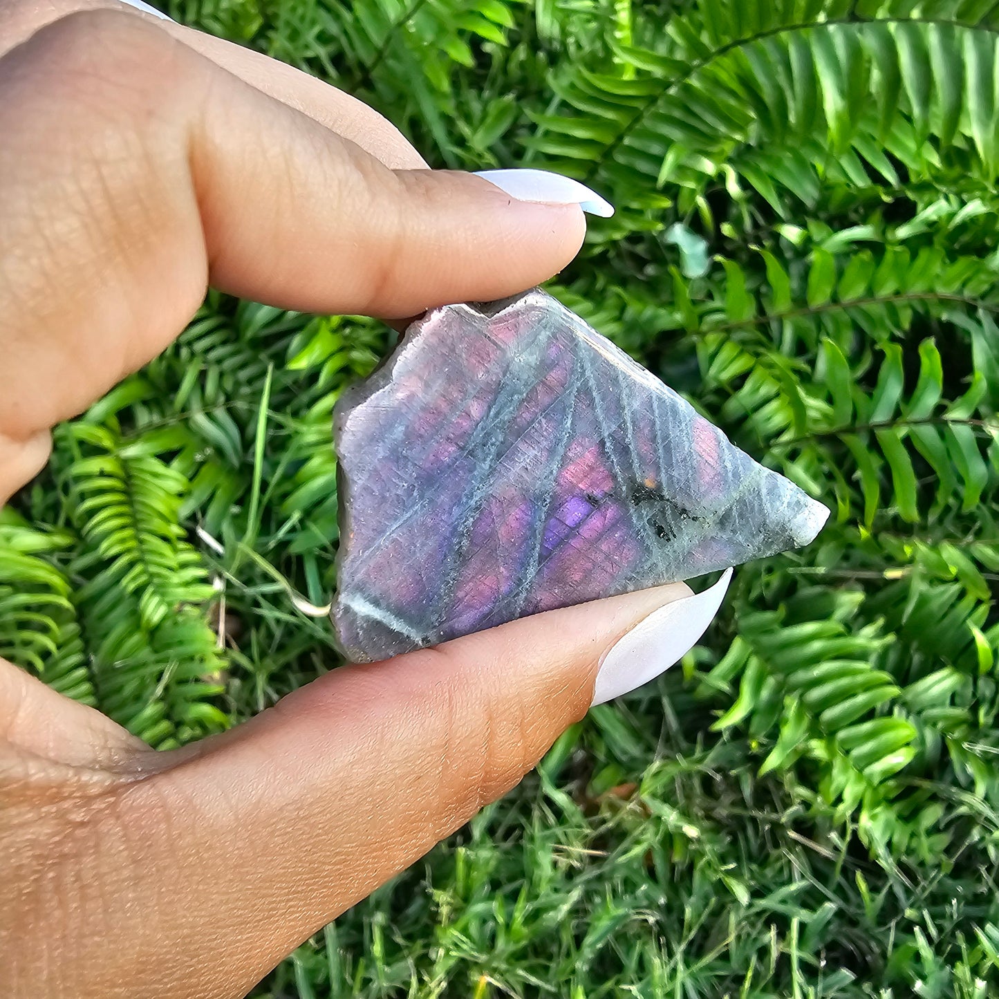 Pink Flash Labradorite