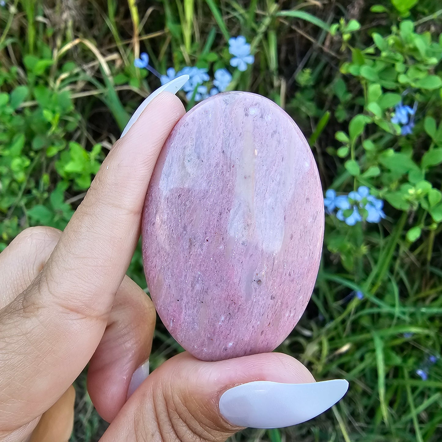 Pink Petrified Wood Palmstone