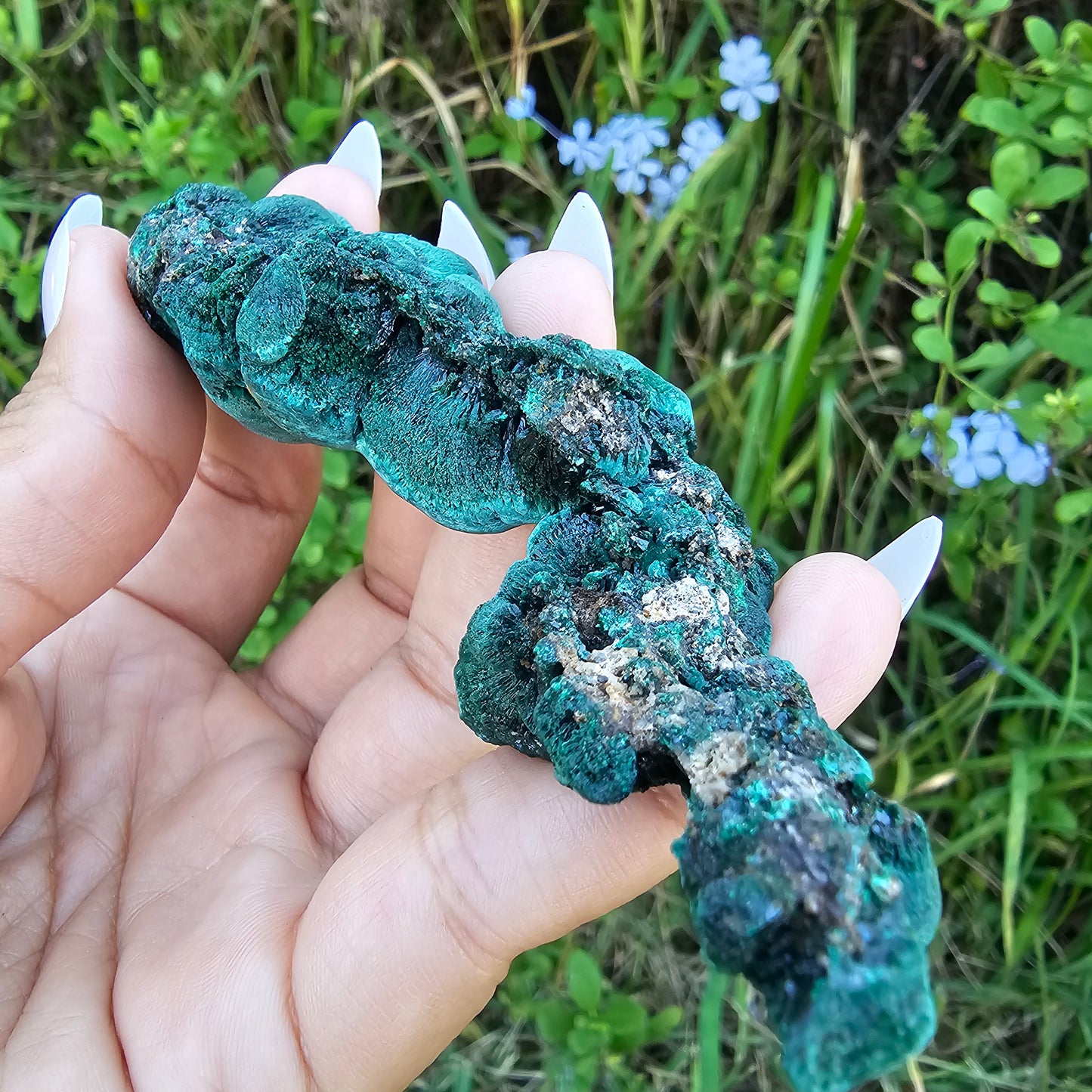 Raw velvet Malachite