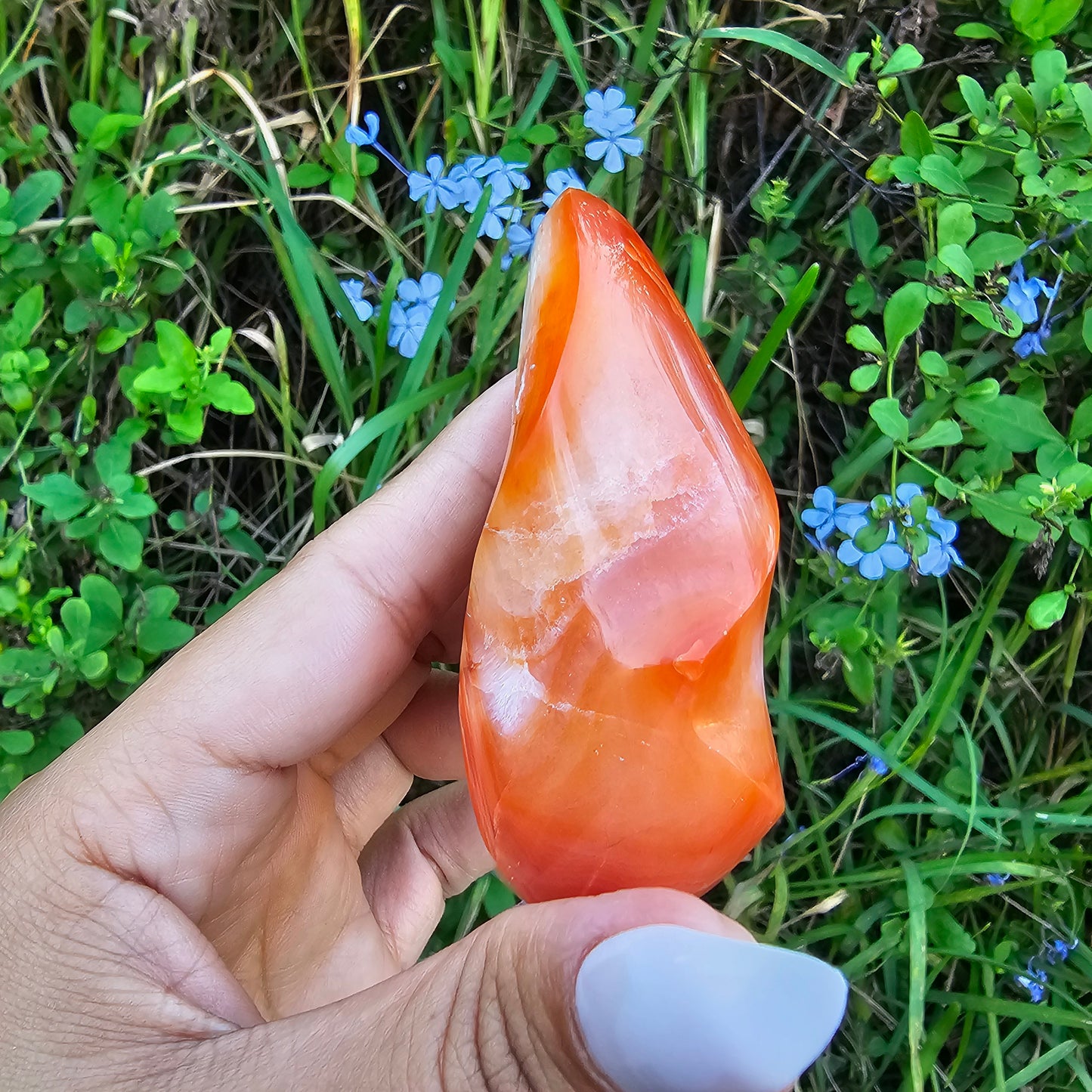 Carnelian Flame