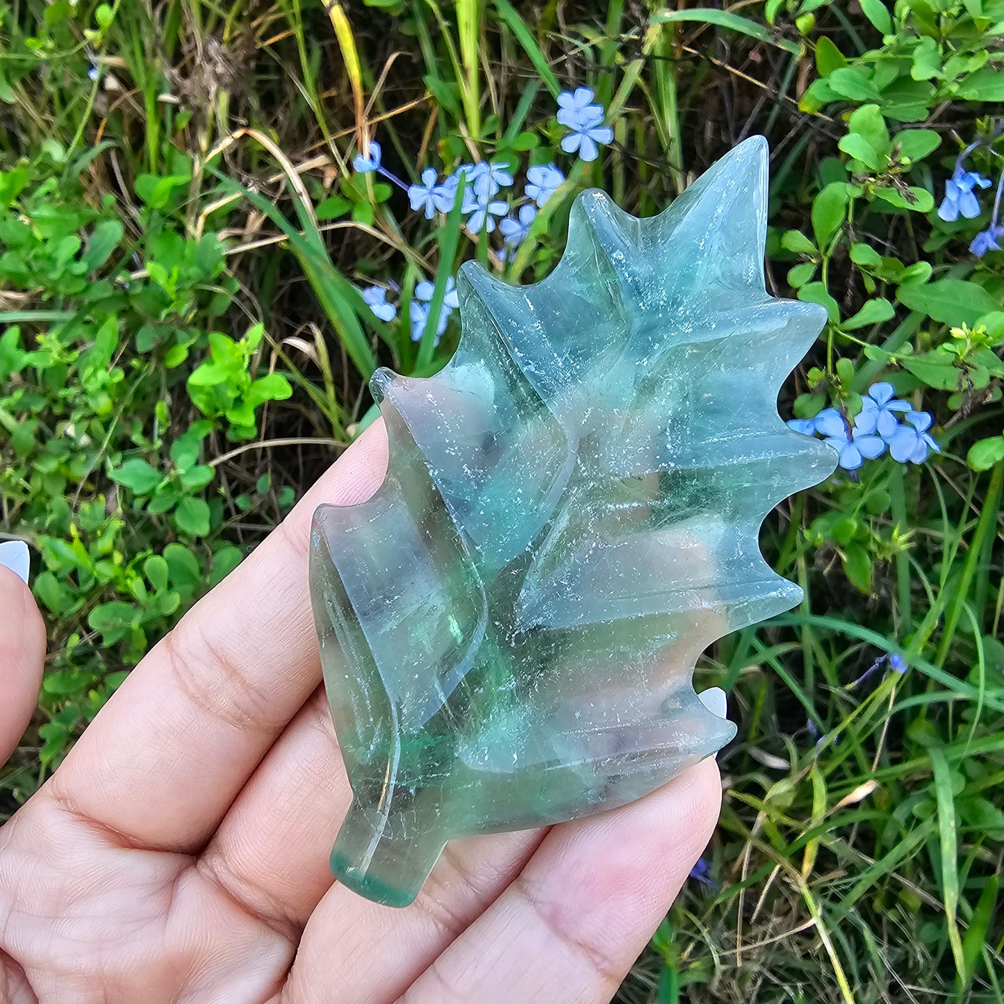 Fluorite Leaf