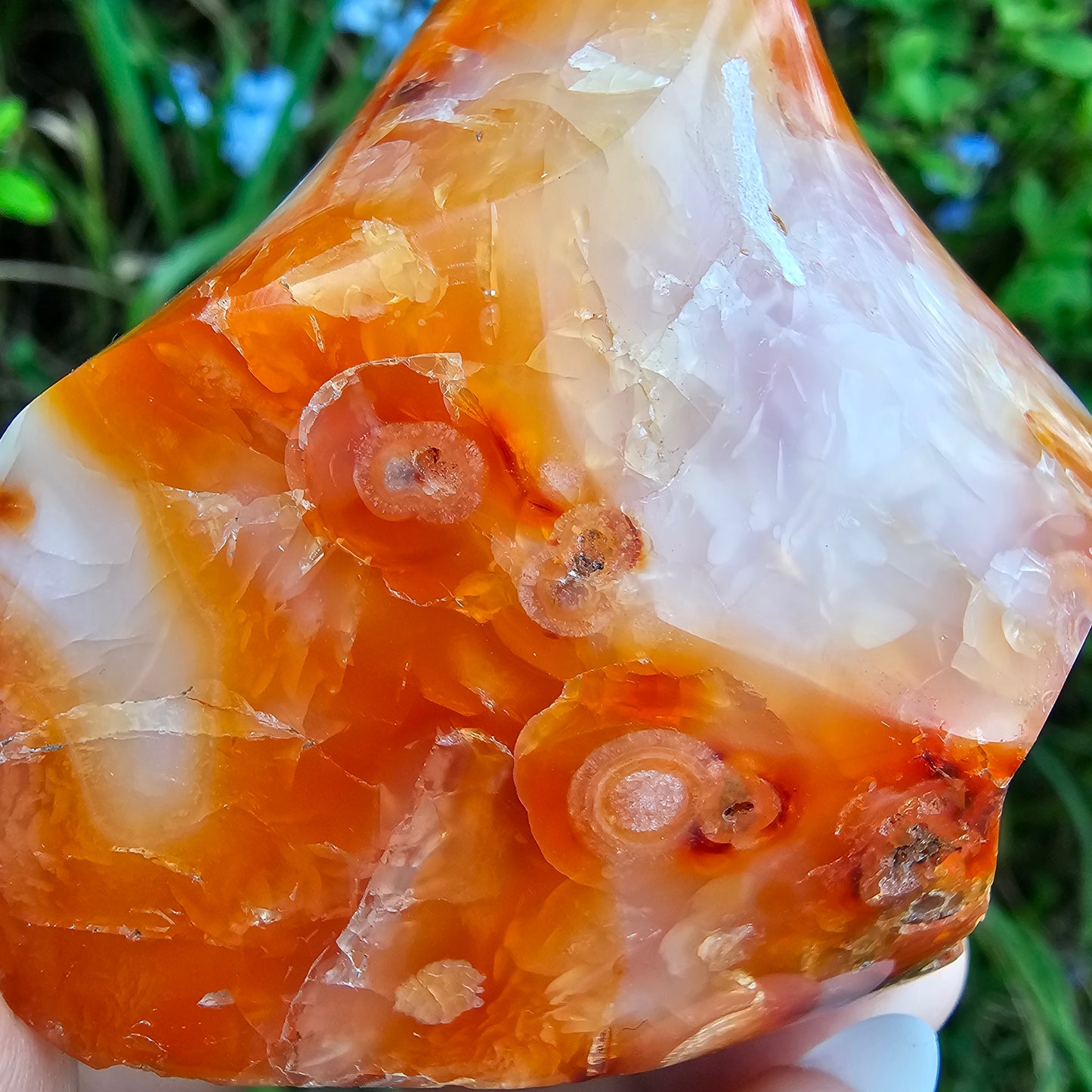 Carnelian Flame