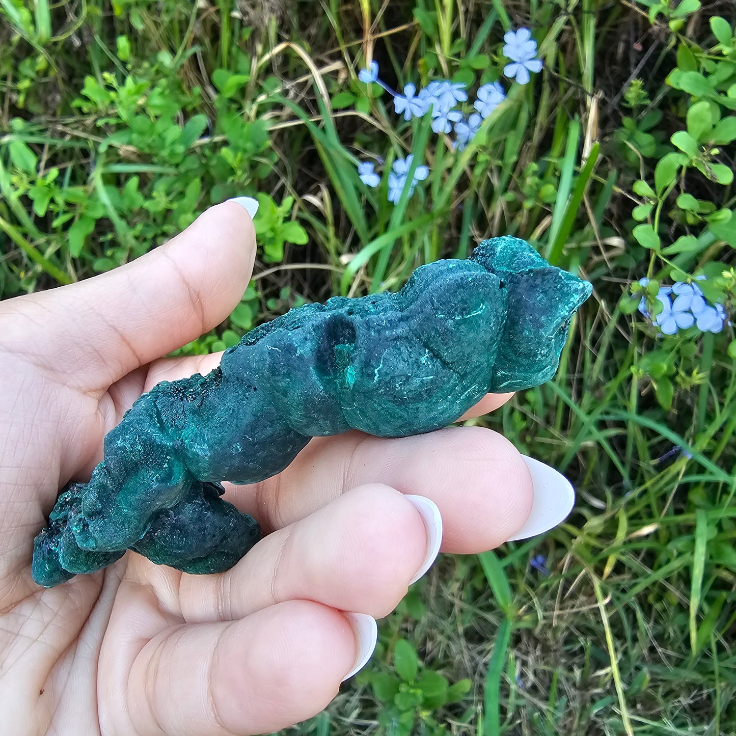 Raw velvet Malachite