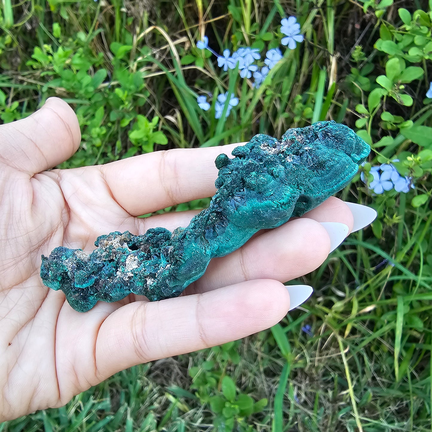 Raw velvet Malachite