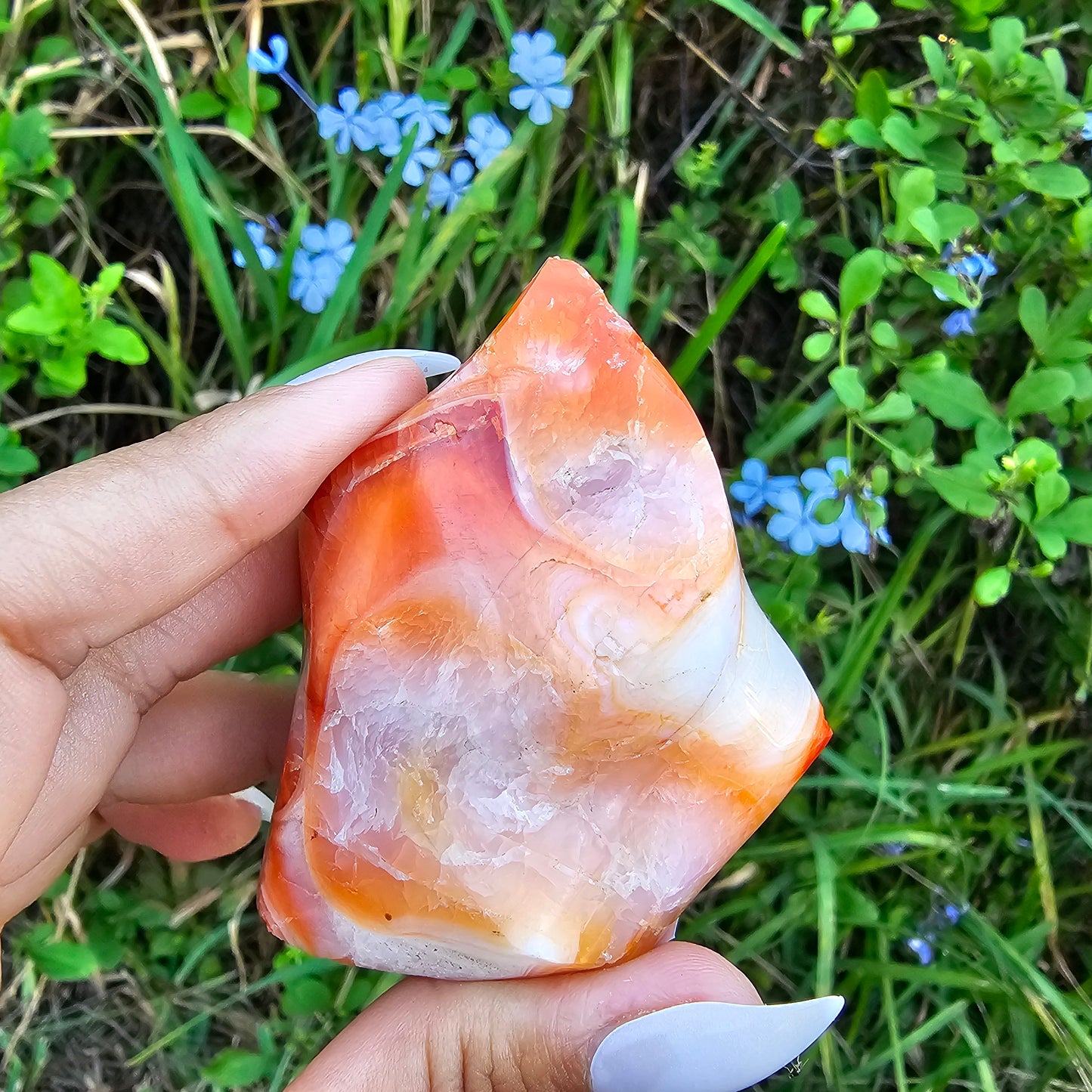 Carnelian Flame