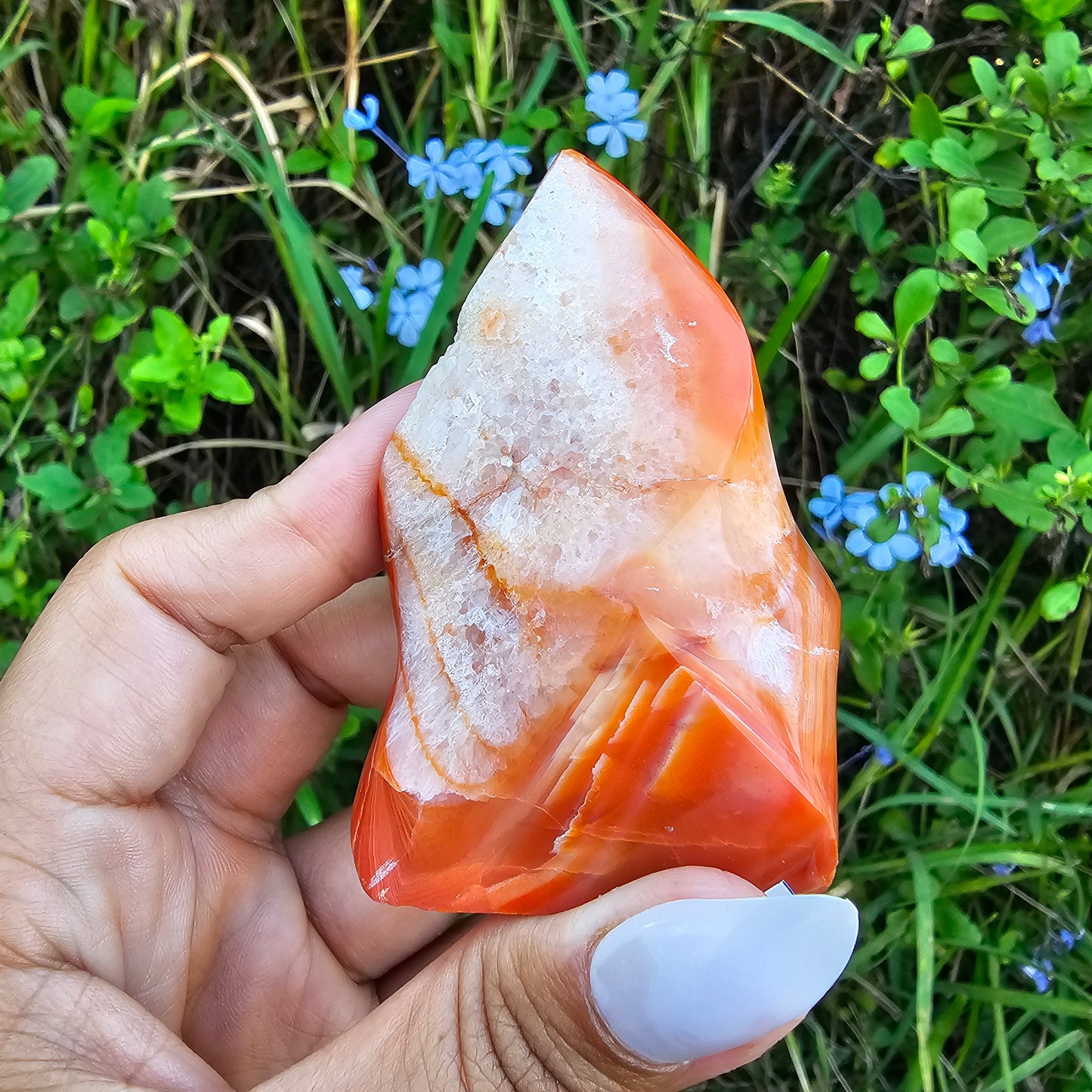 Carnelian Flame