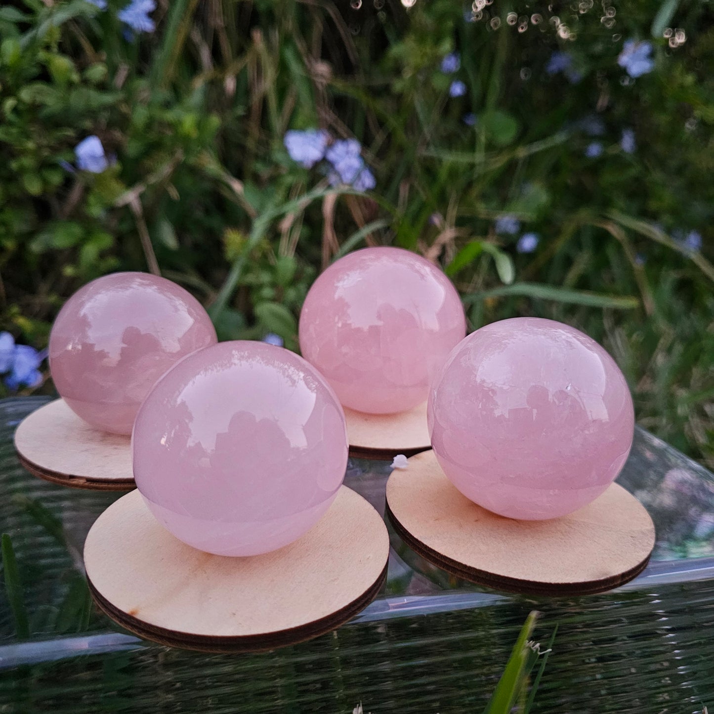 Starlight Rose Quartz Spheres